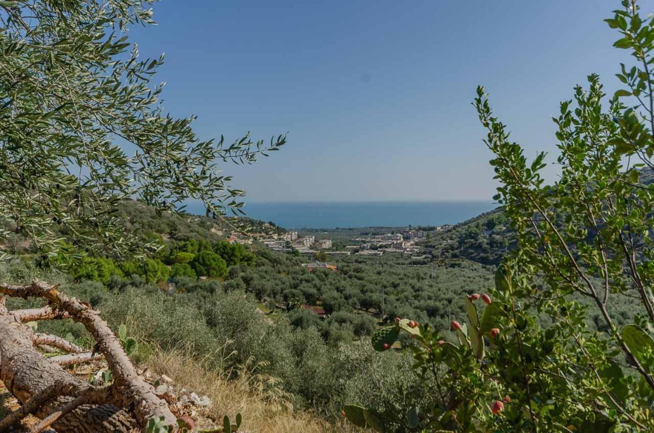 Agriturismo Madonna Incoronata Mattinata Eksteriør bilde